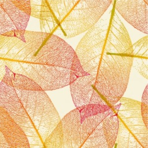 leaf_autumn_144971