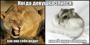 Когда я злюсь